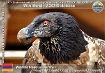 wzd_01875