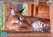 wzd_01879