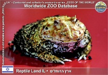 wzd_01881