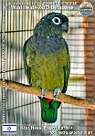 wzd_01882