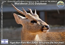 wzd_01883