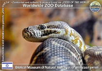 wzd_01884