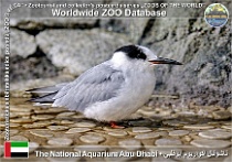 wzd_01887