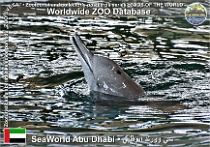 wzd_01888