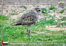 wzd_01890