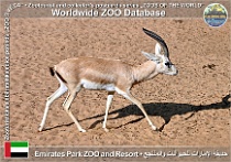 wzd_01891