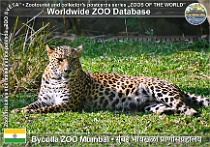 wzd_01893