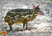 wzd_01895