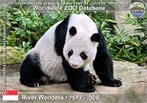 wzd_01902