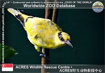 wzd_01903