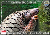 wzd_01905