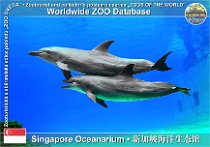 wzd_01907