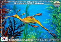 wzd_01913