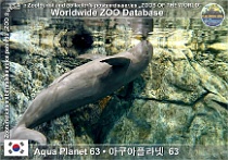 wzd_01915