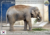 wzd_01916