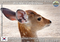 wzd_01917