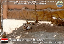 wzd_01920