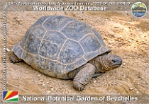 wzd_01922