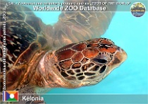 wzd_01926