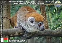 wzd_01928