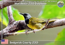 wzd_01930