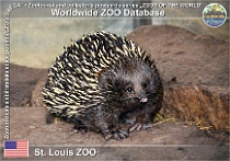 wzd_01933