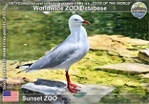 wzd_01934