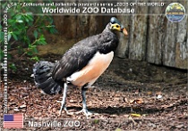 wzd_01936