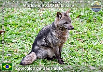wzd_01957